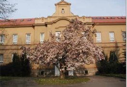 Chrudim, odvlhčení suterénních prostor budovy základní umělecké školy aktivní drátovou elektroosmózou.