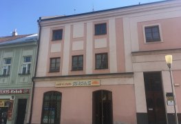 Dlouhodobé odstranění vzlínající zemní vlhkosti přízemí historického objektu v Chrudimi metodou chemických injektáží.